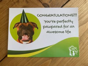 Dog Training Certificate